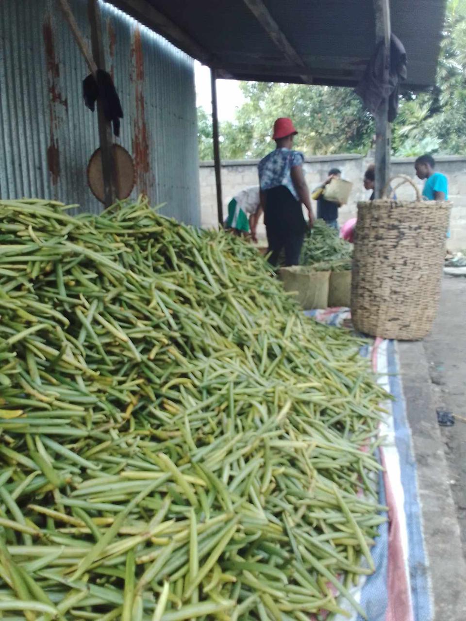 Gousse de Vanille BOURBON